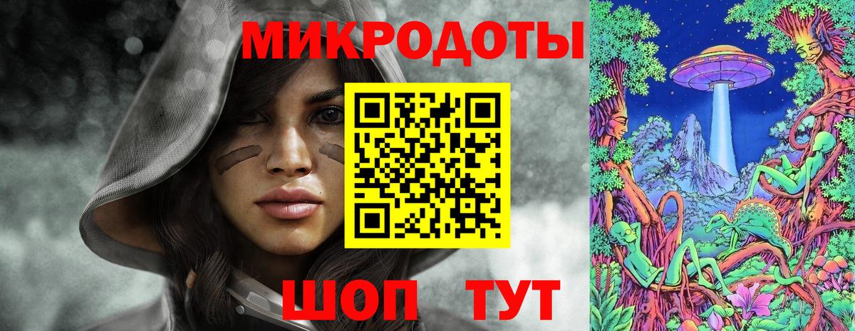 Галлюциногенные грибы Psilocybe Усинск