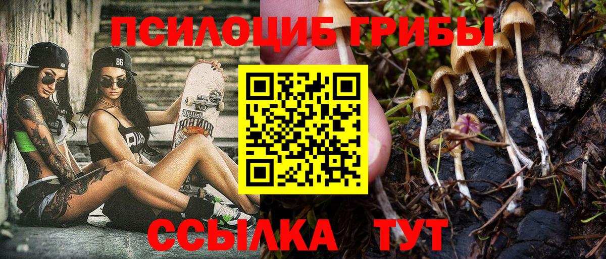 где купить   Вход с VPN  Усинск  Галлюциногенные грибы мухоморы 